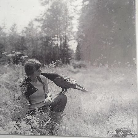 In Nature Białowieża Exterior foto