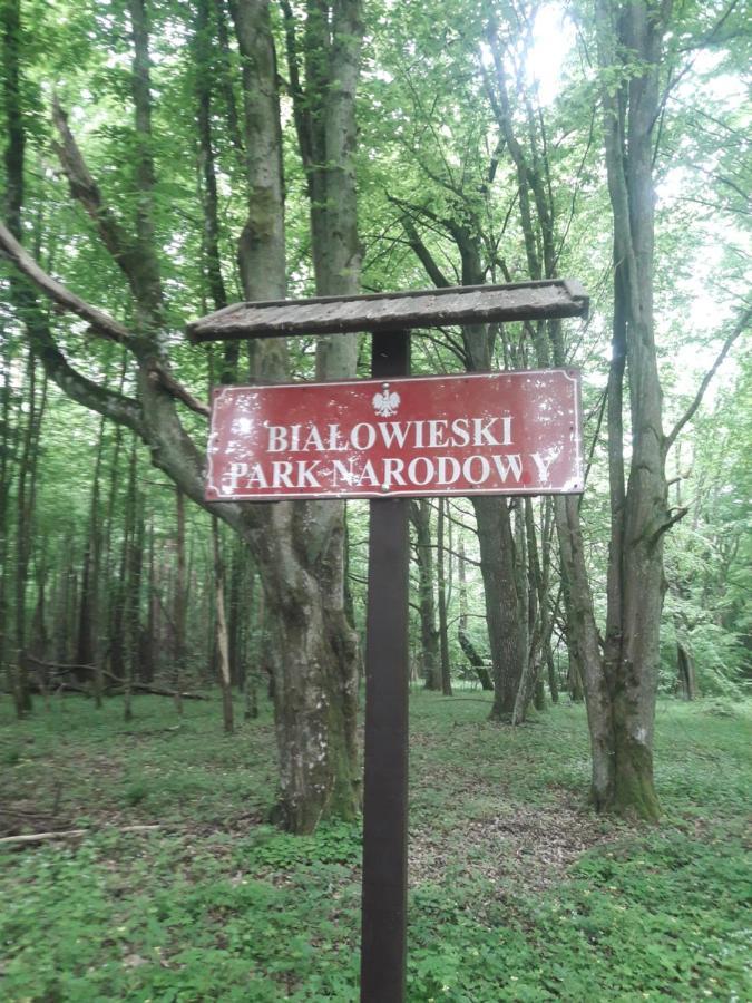 In Nature Białowieża Exterior foto
