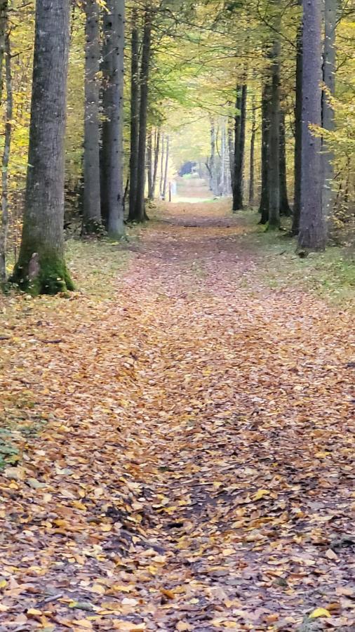 In Nature Białowieża Exterior foto